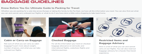 AirIndia Baggage Guidelines